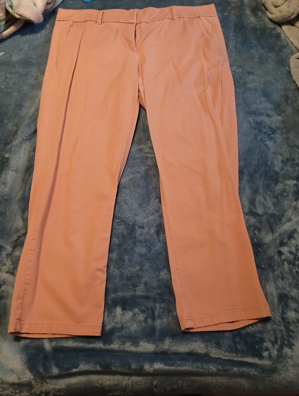 LOFT Peach Modern Chino Crop Pants